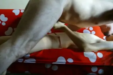 Live ABG Bispak Jakarta Hotel Bintang Lima Skandal Viral Indo Terbaru